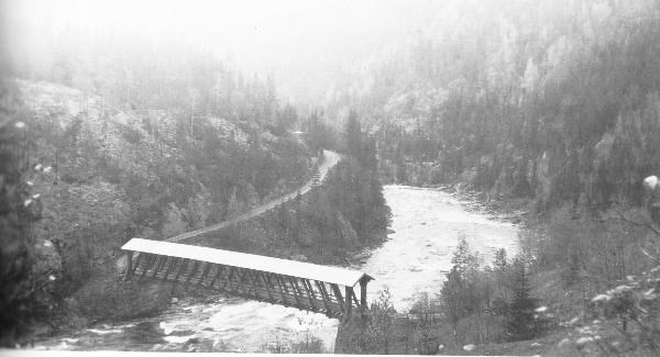 81035207-8d89-4075-a872-d7dd56c0b470_l