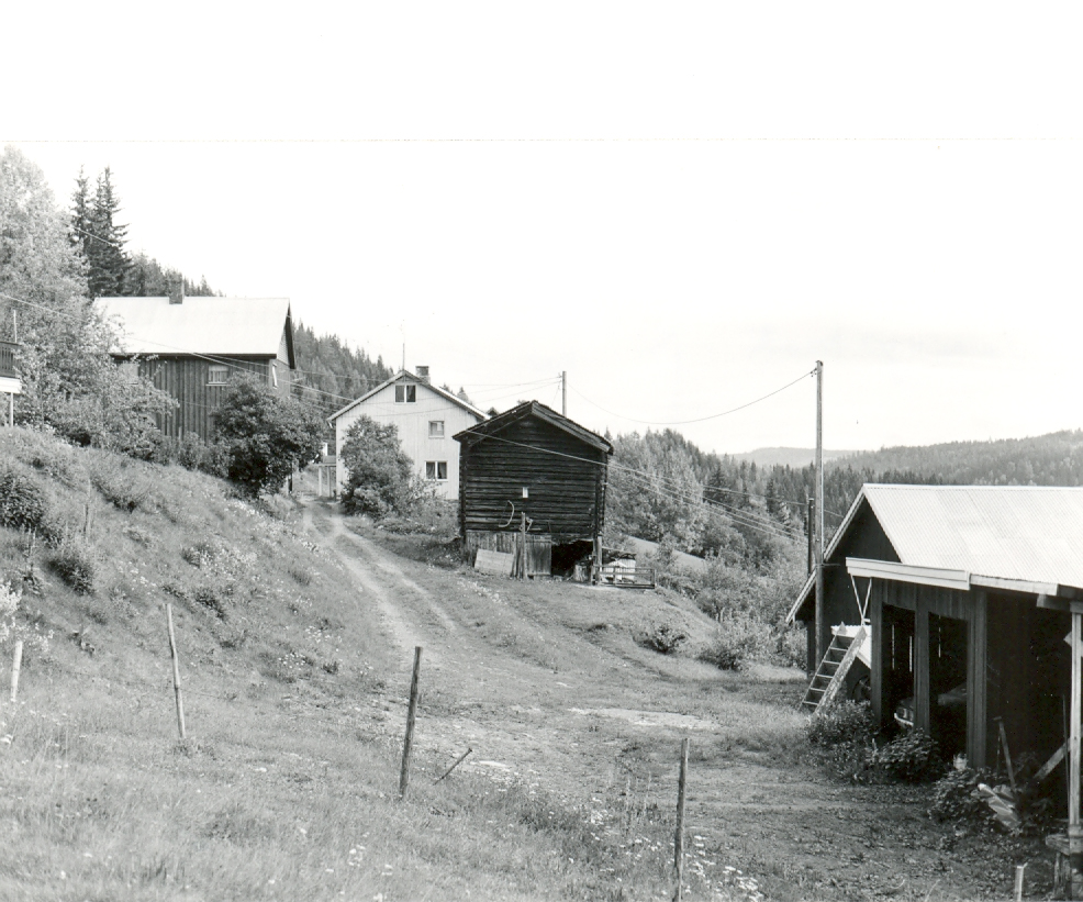 LM F 3634 ca 1980 Skolmen