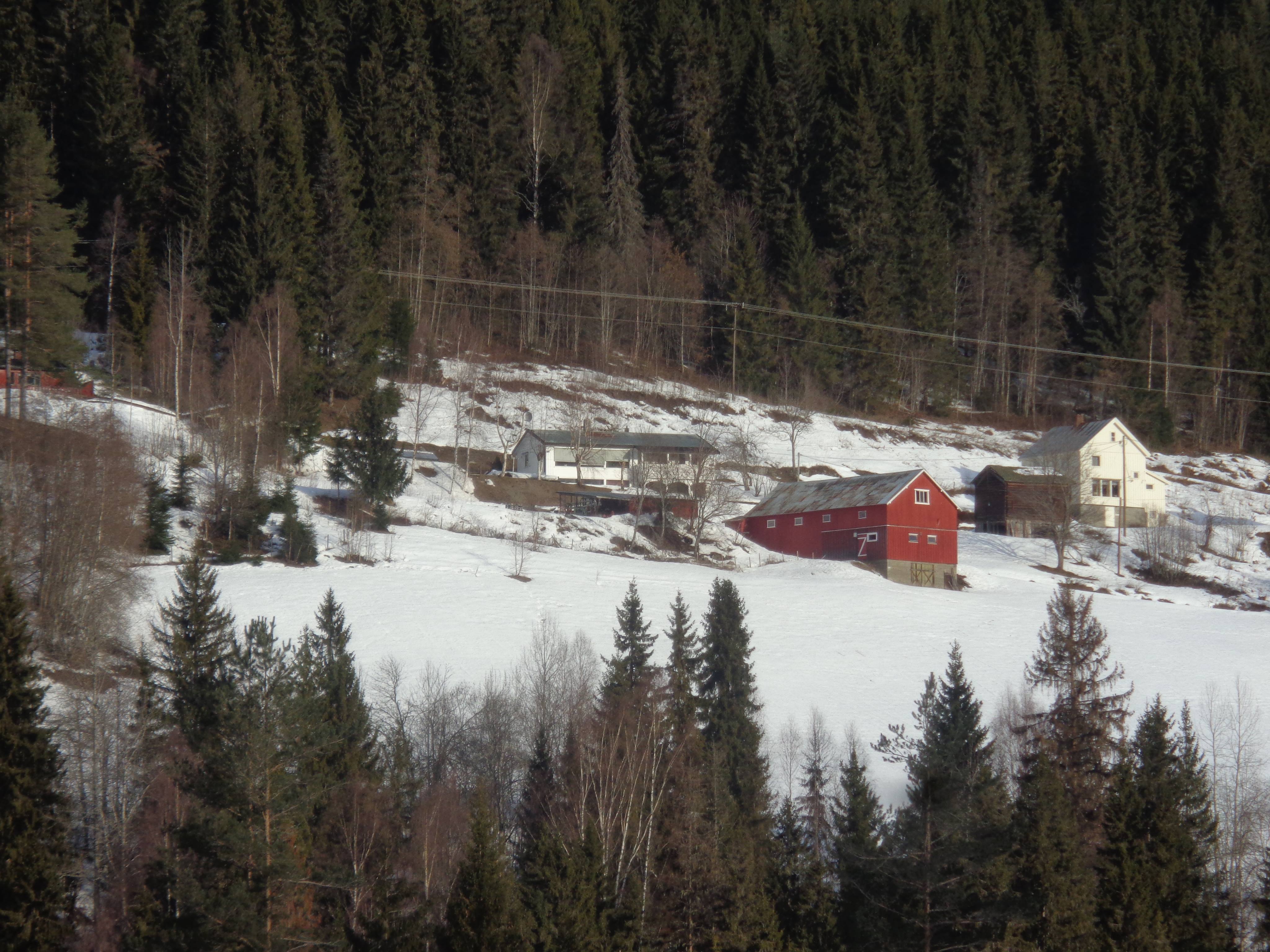 55817141_2420594407991106_6919420655792291840_n